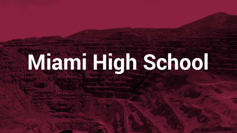 thumbnails_casestudy_miami