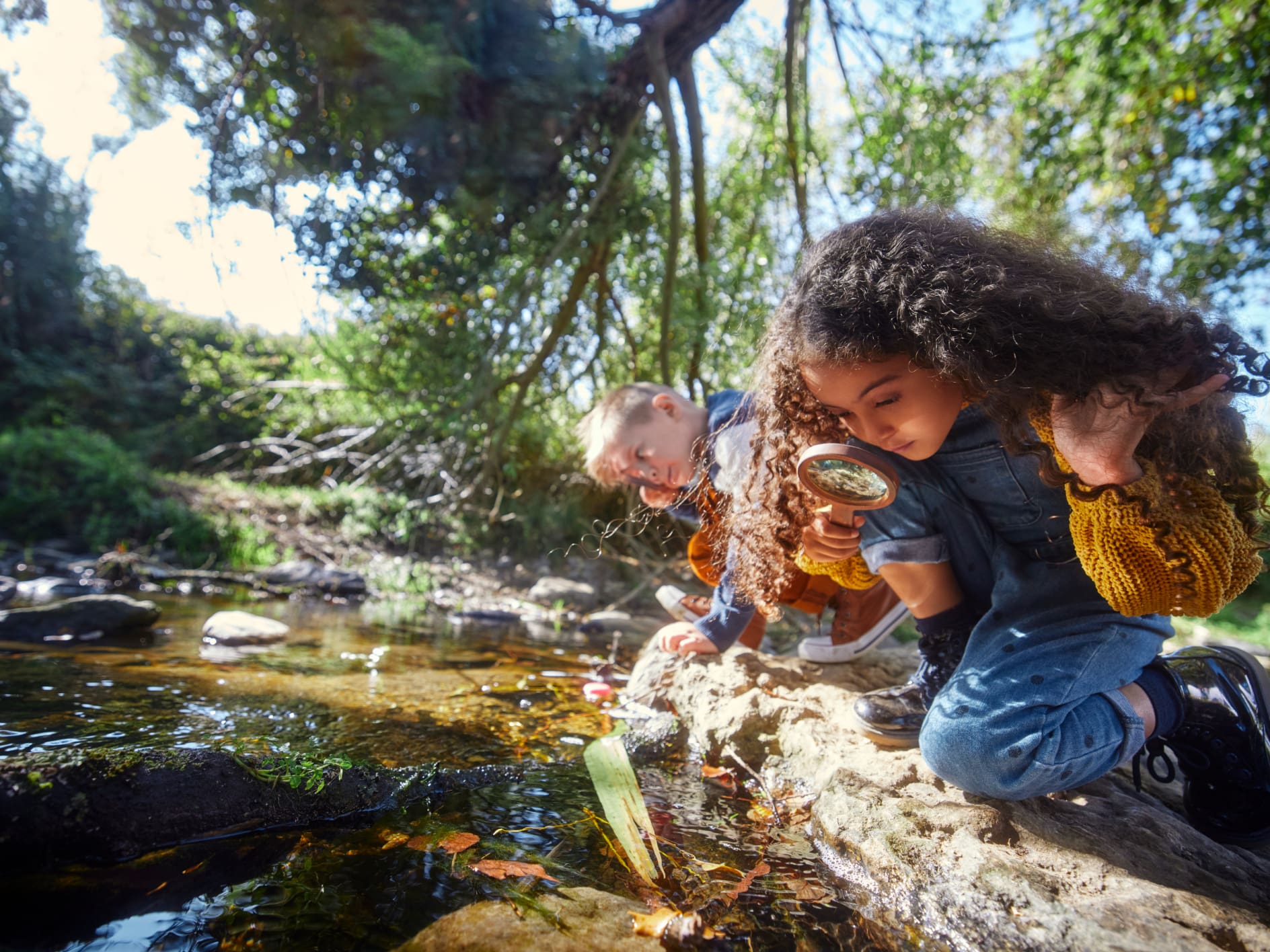 Students researching a river