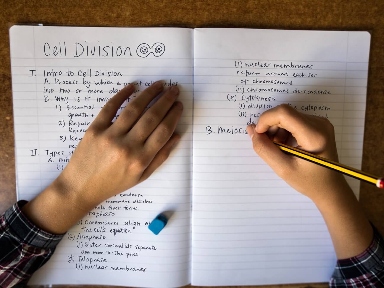 Exploring Different Types of Note Taking for Online Schooling