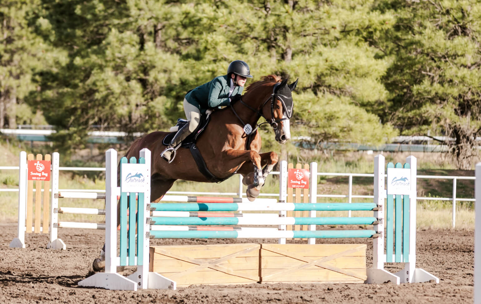 Analiese Alexander in equestrian sports
