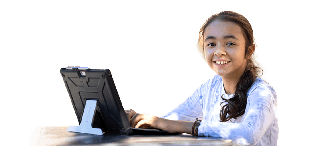 Student learning online